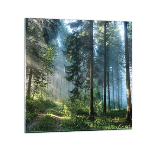 Üveg kép - Sugárzó reggel - 50x50 cm