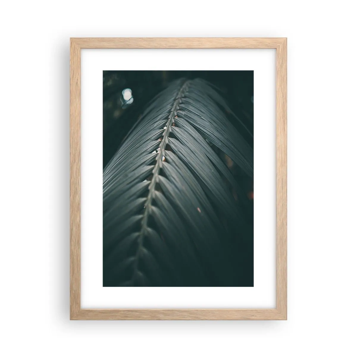 Poszter világos tölgy keretben - A természet pontossága - 30x40 cm