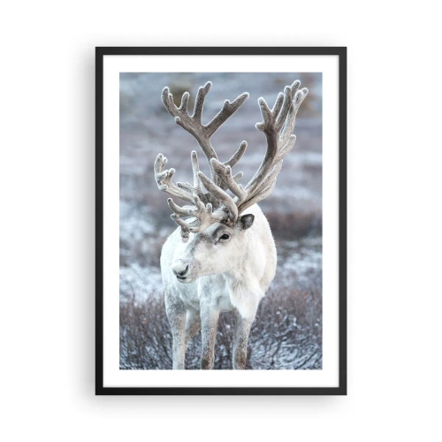 Poszter fehér keretben - Fehér rénszarvas téli tájban - 50x70cm - Portré a napon - Modern fali dekoráció nappalihoz és hálószobához ARTTOR