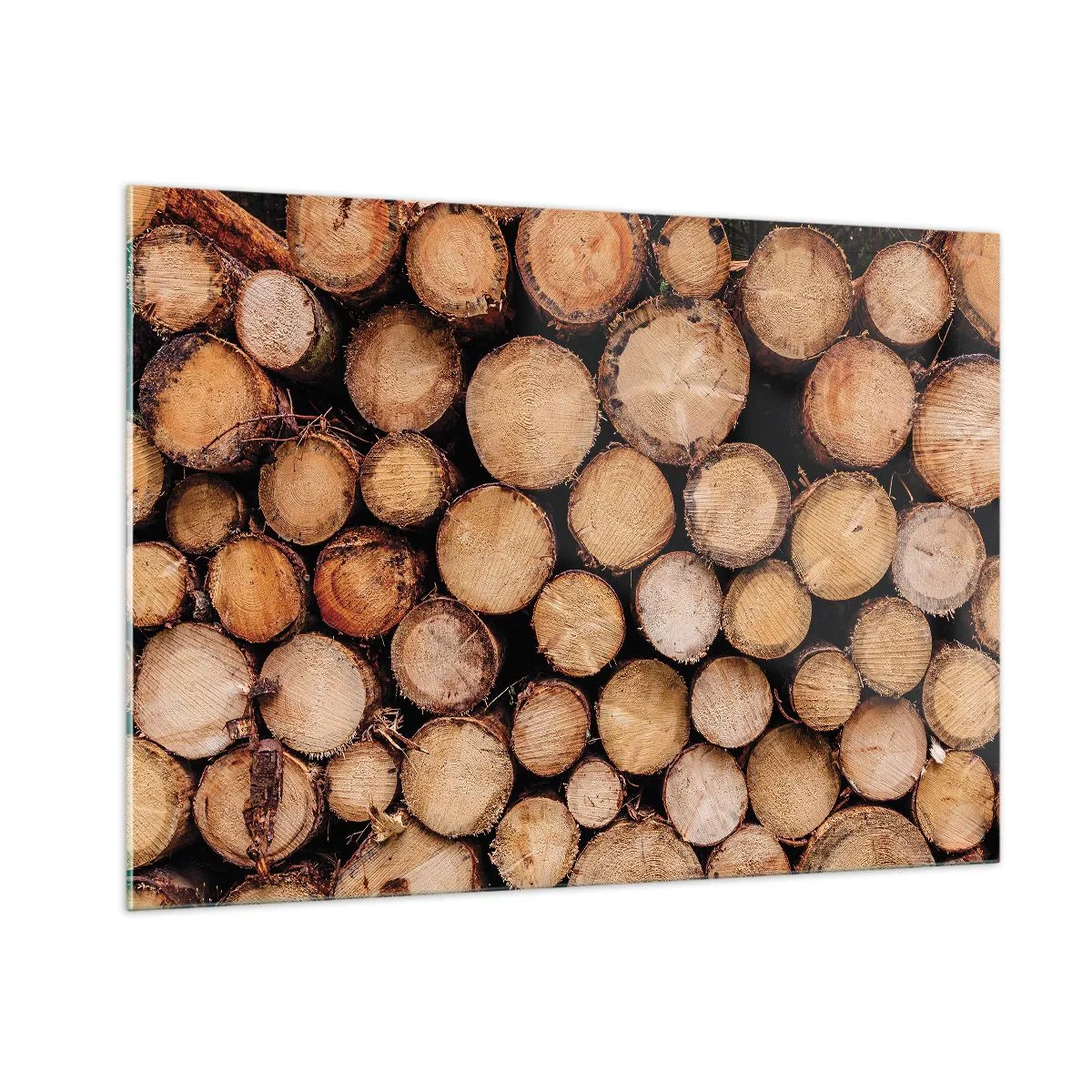 Üveg kép - Egy új kezdet - 100x70 cm