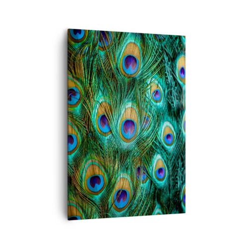 Vászonkép - Pávaszemű pillantás - 70x100 cm