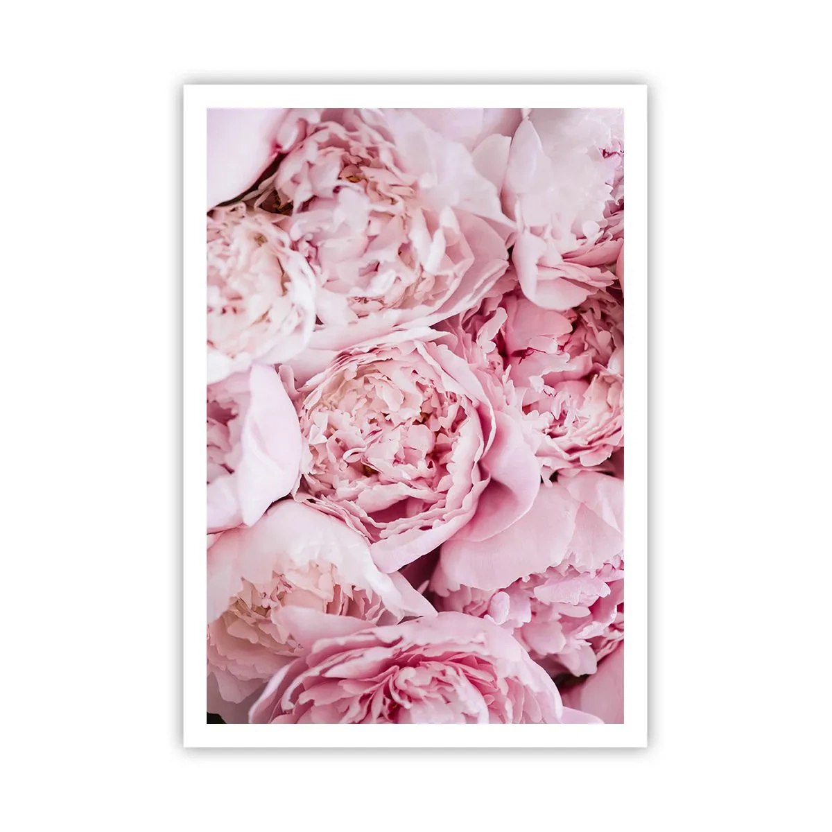 Poszter - Átölelve és illatos - 70x100 cm