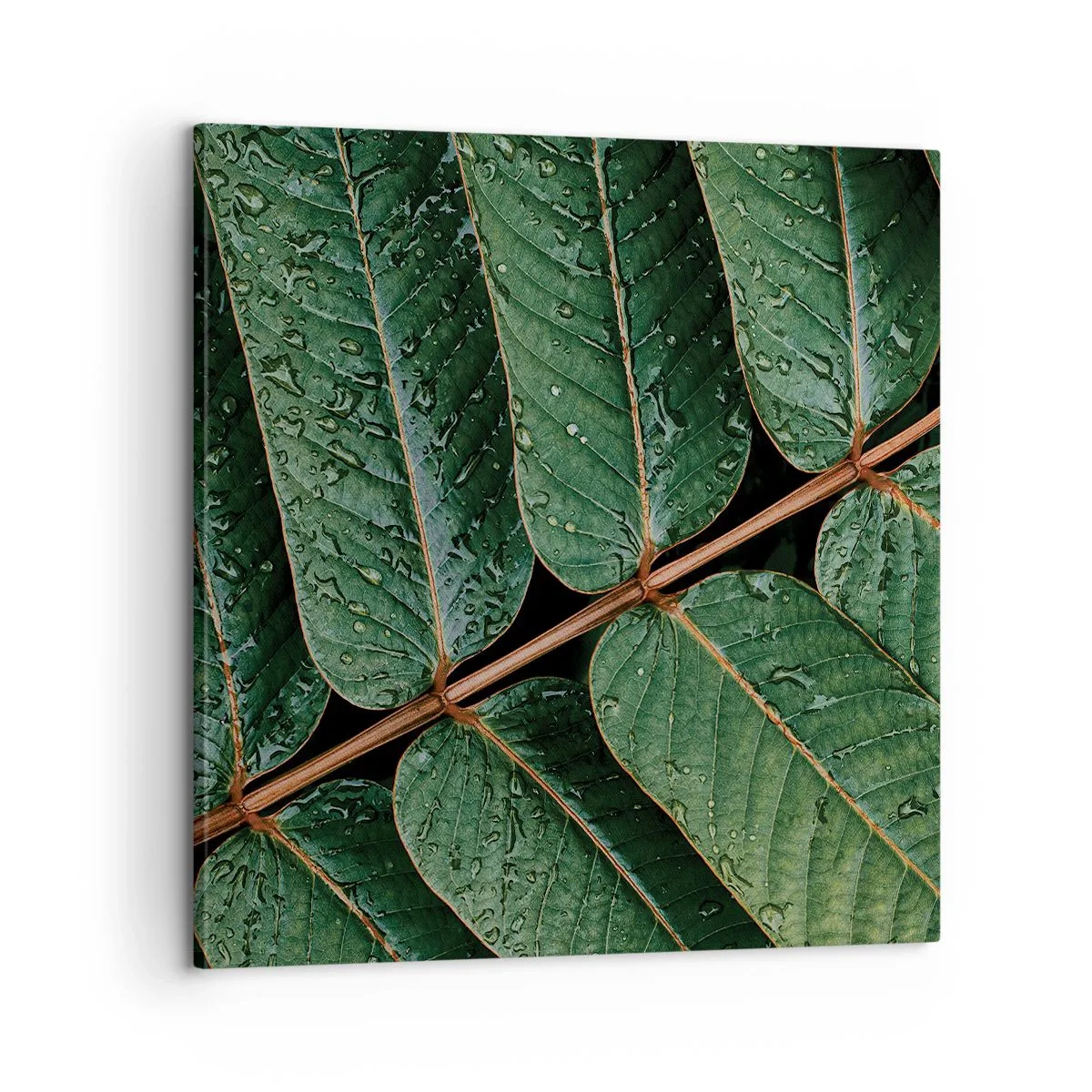 Vászonkép - Zöld ritmusban - 60x60 cm