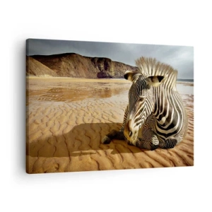 Vászonkép - Egy zebra pihen egy homokos tengerparton, a háttérben sziklákkal. - 70x50cm - Összepasszolunk - Modern fali dekoráció nappalihoz és hálószobához ARTTOR