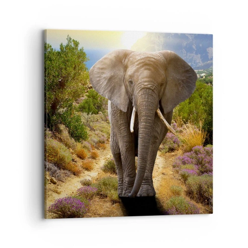 Vászonkép - Így nézett ki Eden - 70x70 cm