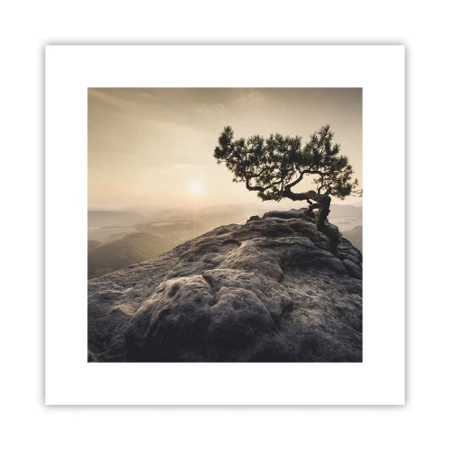 Poszter - Az élet mindig győz - 30x30 cm