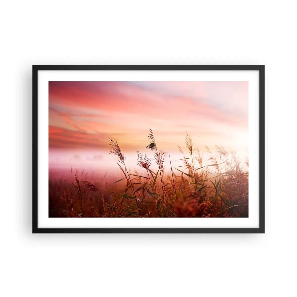 Poszter fehér keretben - Sárkányok, pitypangok, szél - 70x50 cm