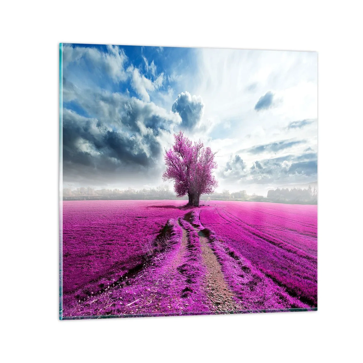 Üveg kép - Csarab mező - szentély - 70x70 cm