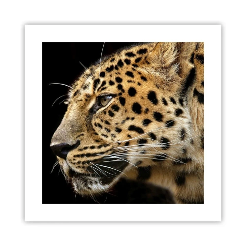 Poszter - Nyugodt, koncentrált, kész - 40x40 cm