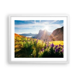 Poszter fekete keretben - A gyógynövények titkos élete - 50x40 cm