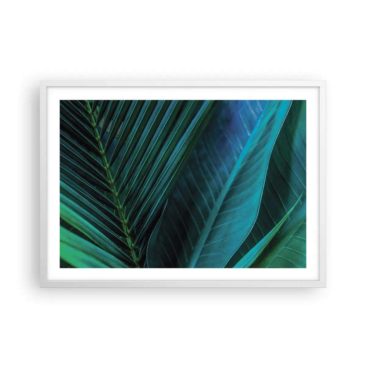 Poszter fekete keretben - A zöld anatómiája - 70x50 cm