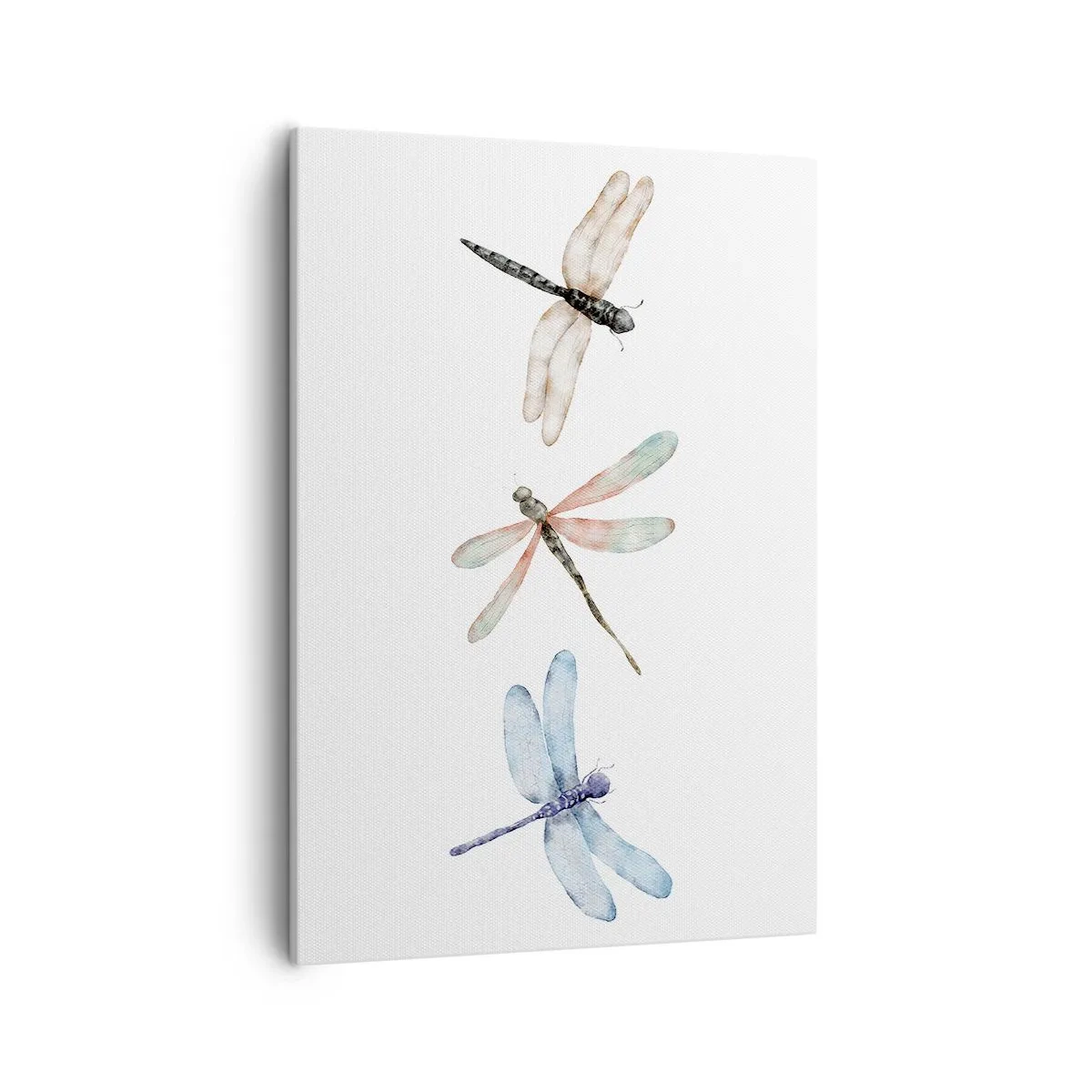 Vászonkép - Súlytalan szitakötők - 50x70 cm