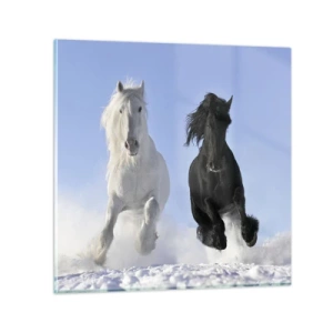Üveg kép - Fekete-fehér galopp - 70x70 cm