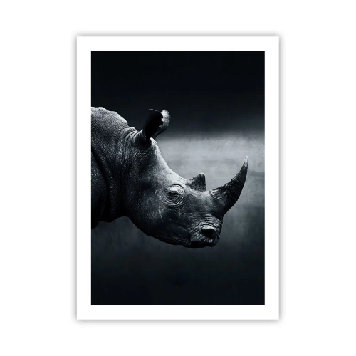 Poszter - Jobb profil - 50x70 cm