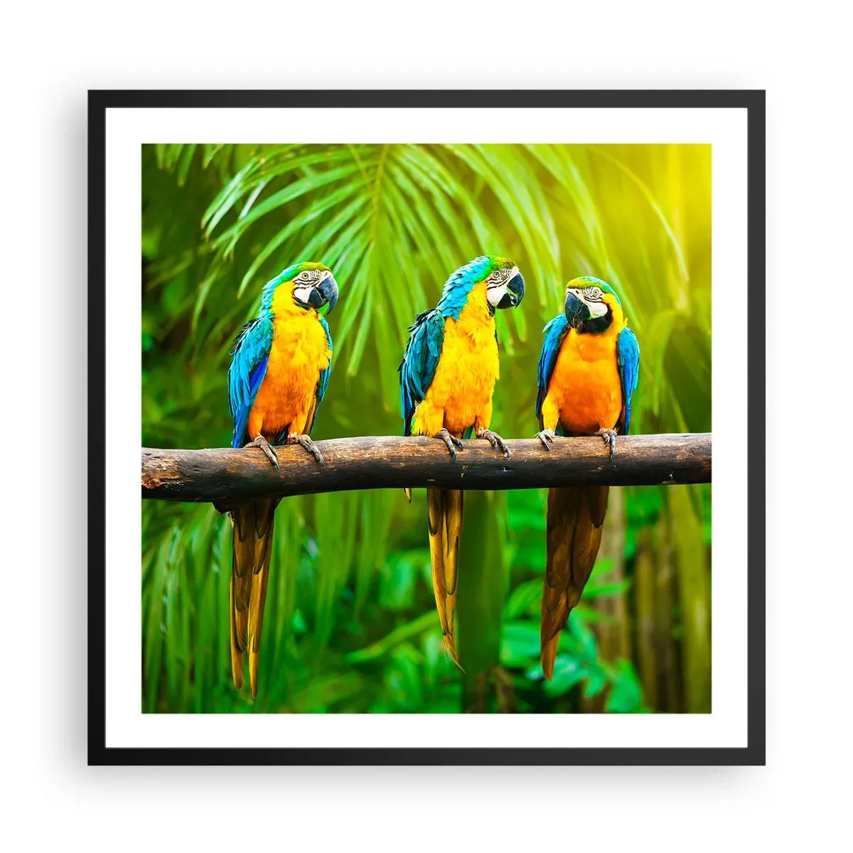 Poszter fehér keretben - És hallottad, hogy ő…? - 60x60 cm