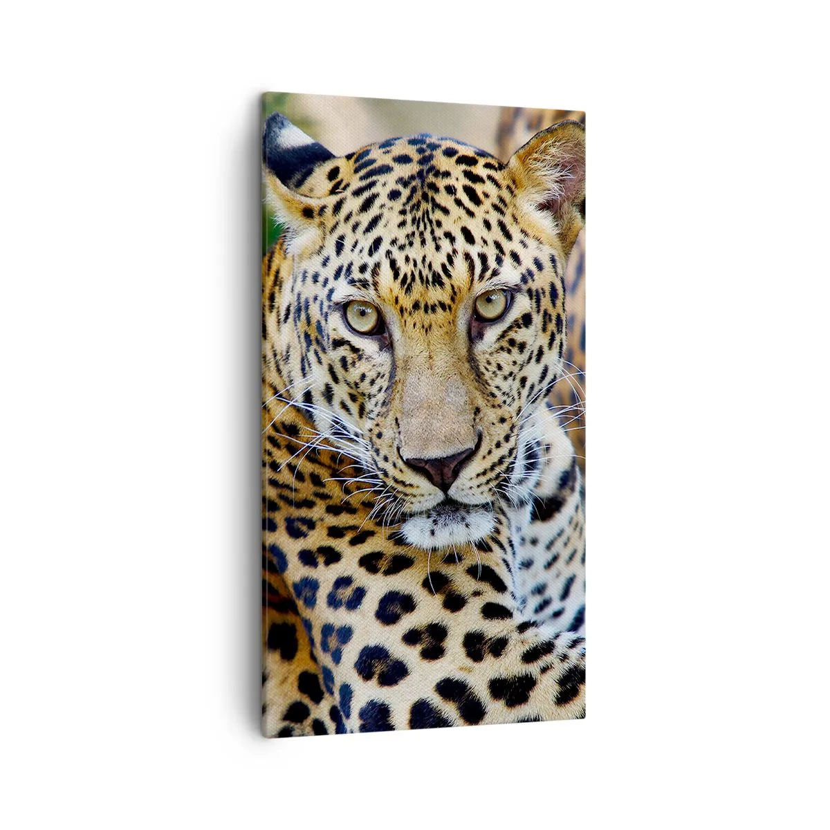 Vászonkép - Vad és nyugott - 45x80 cm