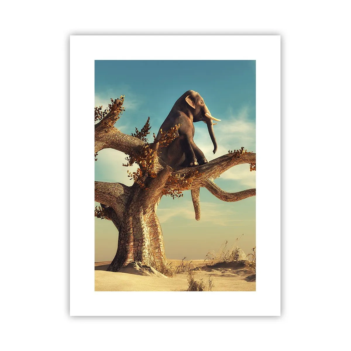 Poszter - Egy új nézőpont - 30x40 cm