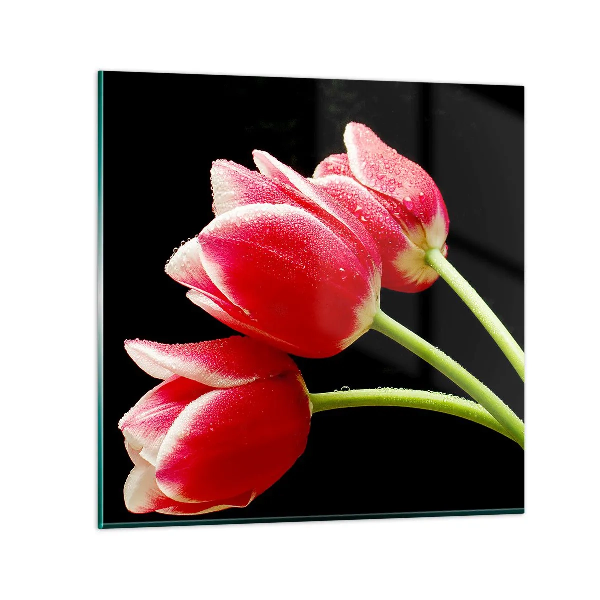 Üveg kép - A tiszta szerelem ígérete - 60x60 cm