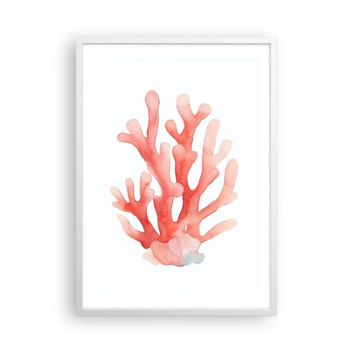 Poszter fekete keretben - A korall színe - 50x70 cm