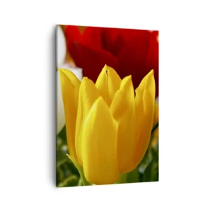 Vászonkép - Tulipán láz - 50x70 cm