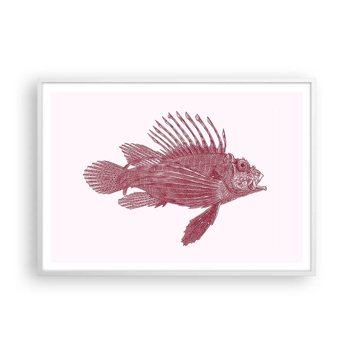 Poszter fekete keretben - Egzotikus vizek lakója - 100x70 cm