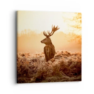 Vászonkép - A birtok ura - 40x40 cm