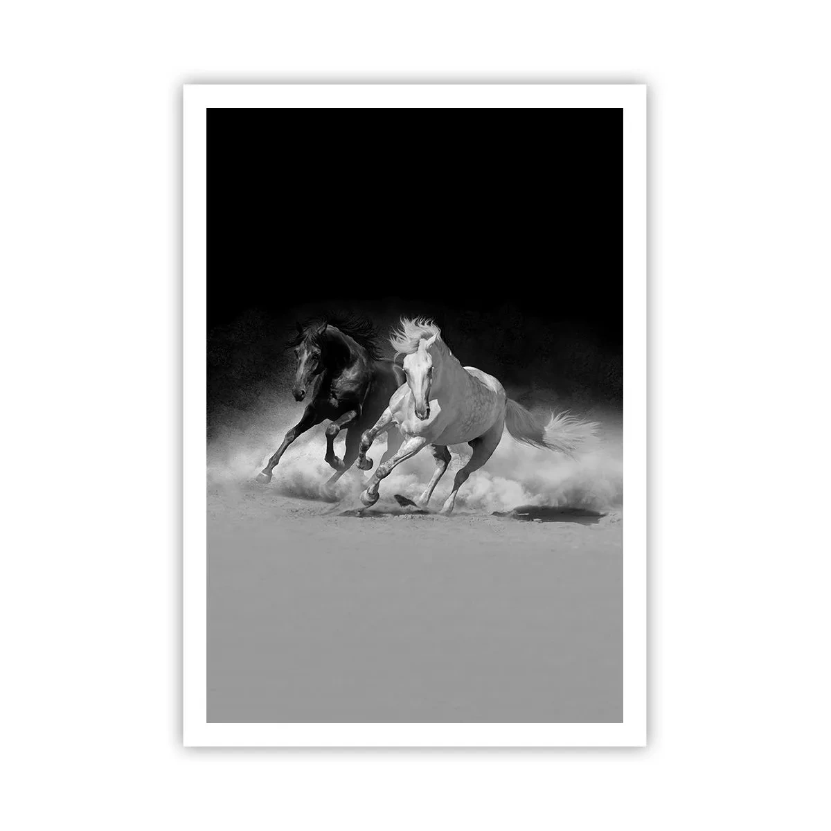 Poszter - A szabadság vágtája - 70x100 cm