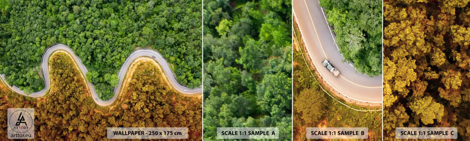 Fotótapéta Minta Standard Eco - Határok és áttörések - Tájkép, Autóút, Erdő - 100x30 cm