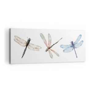 Vászonkép - Súlytalan szitakötők - 100x40 cm