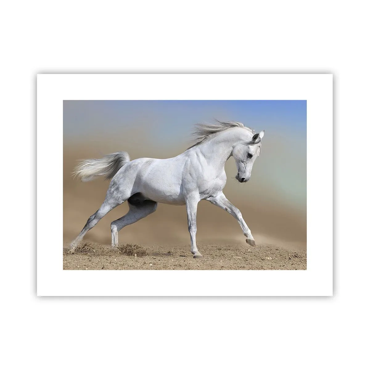 Poszter - A legszebb arab tündérmese - 40x30 cm