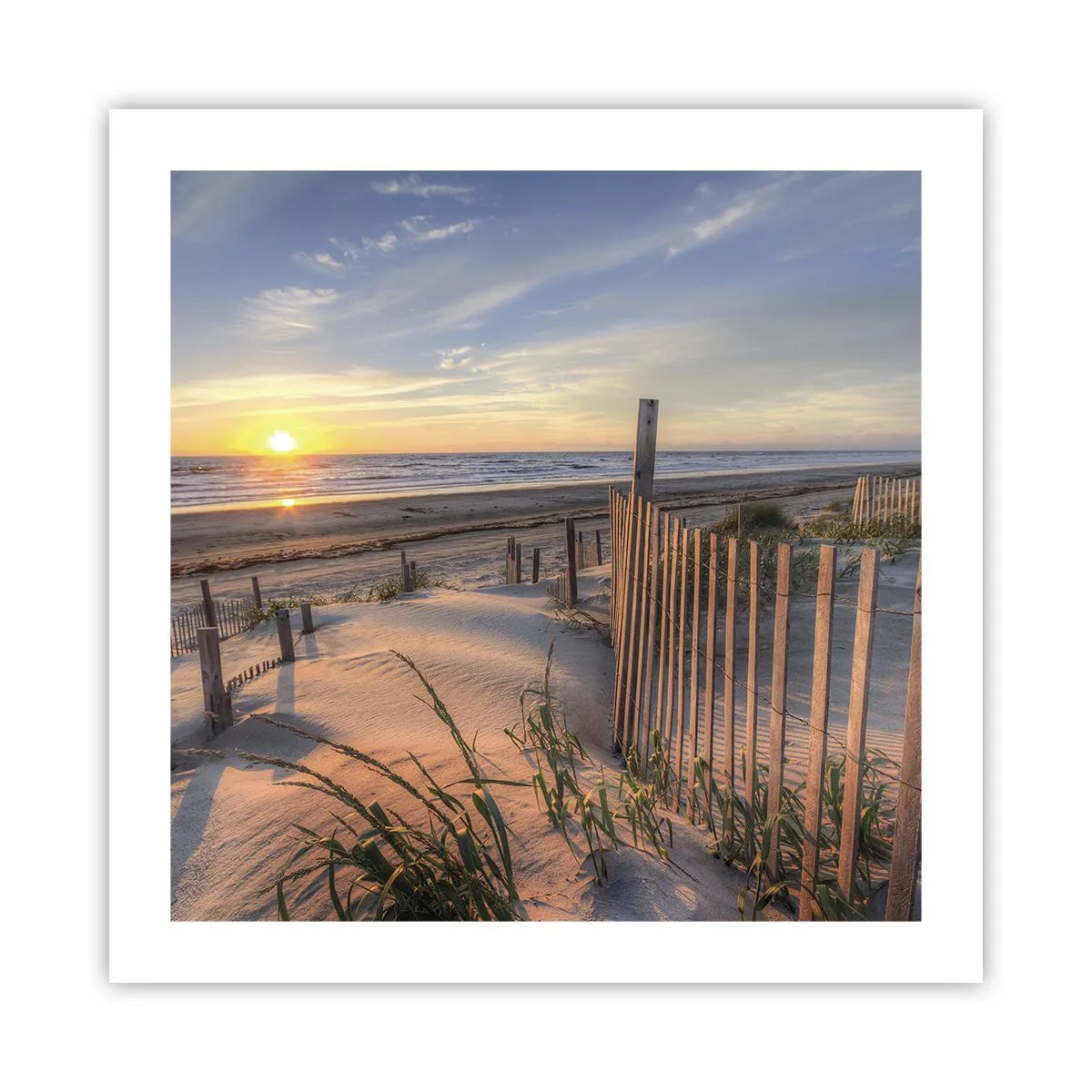 Poszter - A szél ragyogása és árnyéka - 50x50 cm