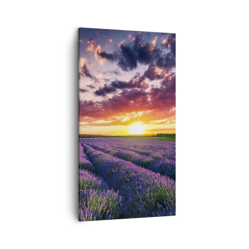 Vászonkép - Levendula világ - 45x80 cm