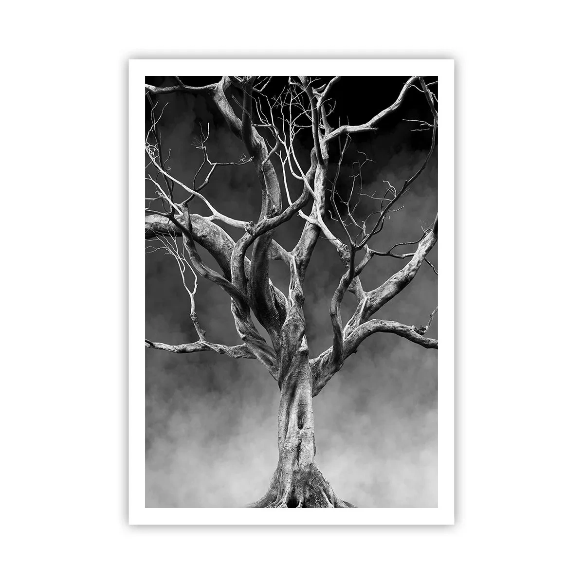 Poszter - Ősi és szent - 70x100 cm