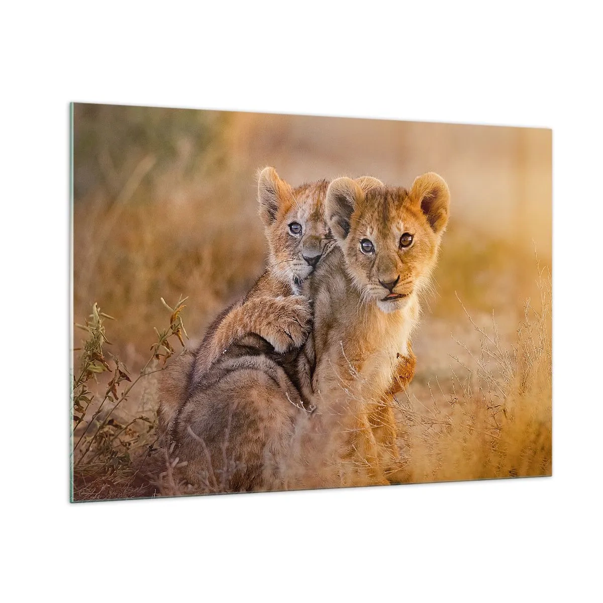 Üveg kép - Ne zavarni! Szórakozunk - 100x70 cm