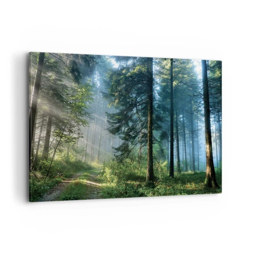 Vászonkép - Sugárzó reggel - 100x70 cm