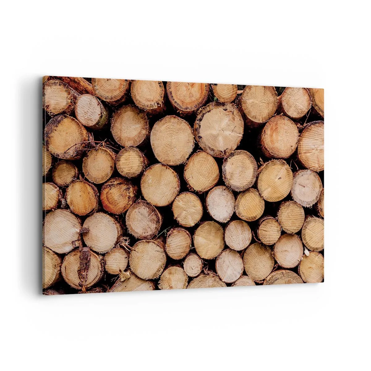 Vászonkép - Egy új kezdet - 120x80 cm