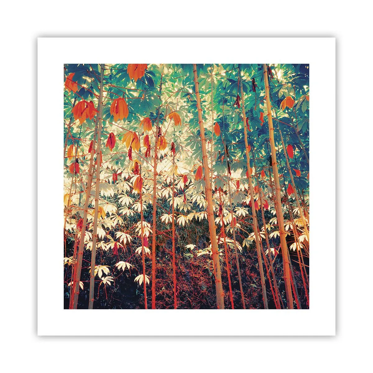 Poszter - A levelek titkos élete - 40x40 cm