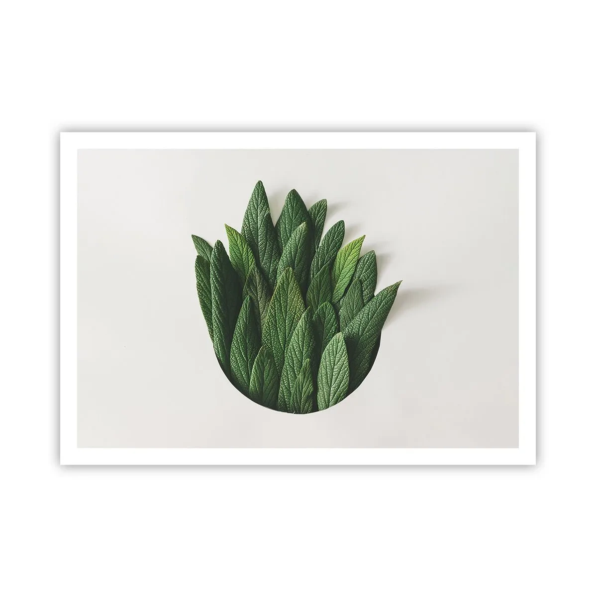 Poszter - Féktelen kíváncsiság - 100x70 cm