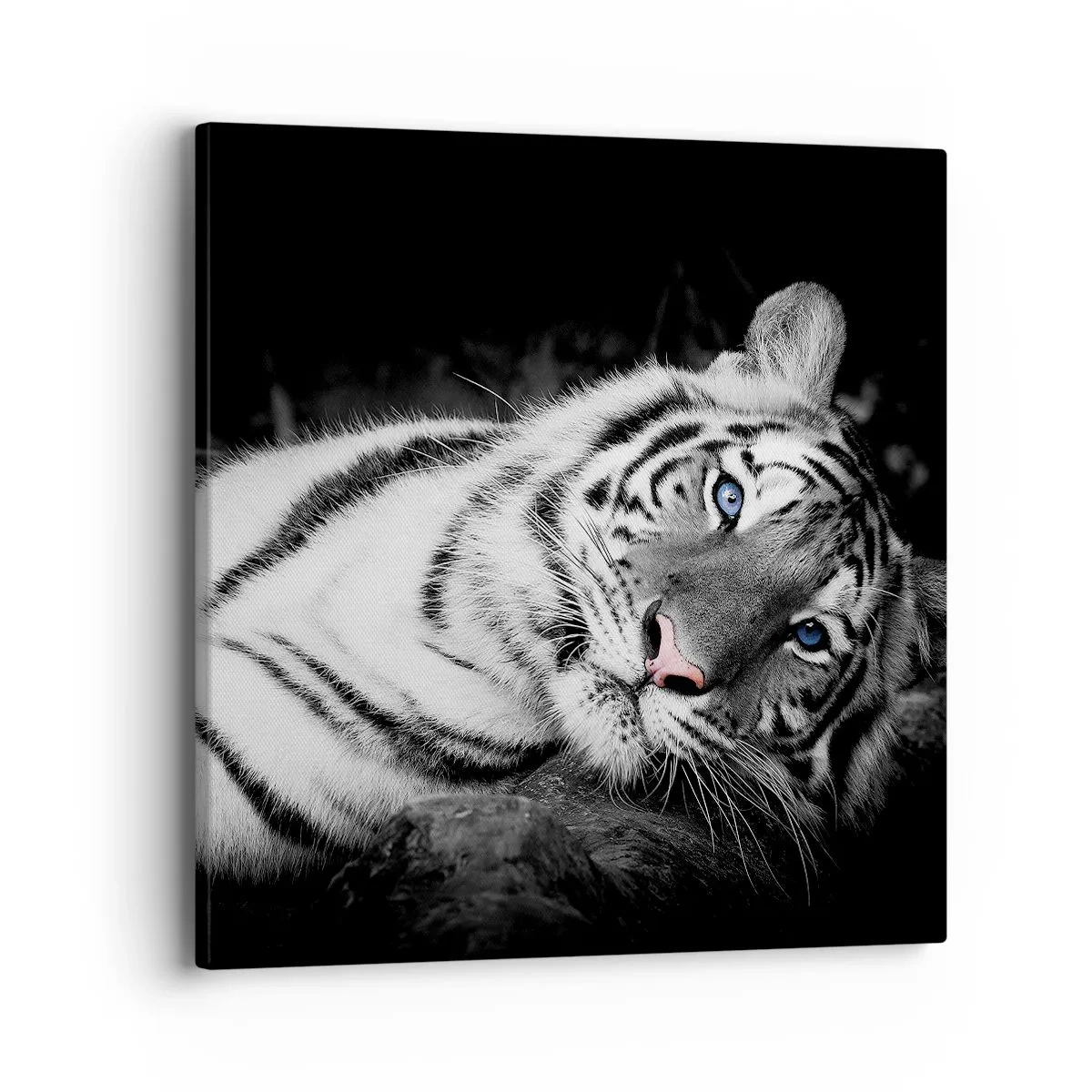 Vászonkép - Vadság és nyugalom - 40x40 cm