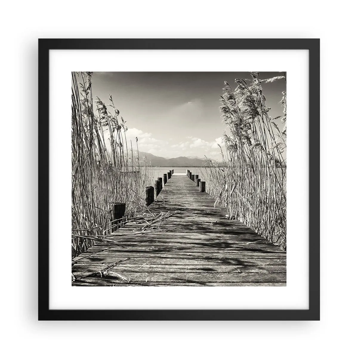 Poszter fehér keretben - A fű csendjében - 40x40 cm