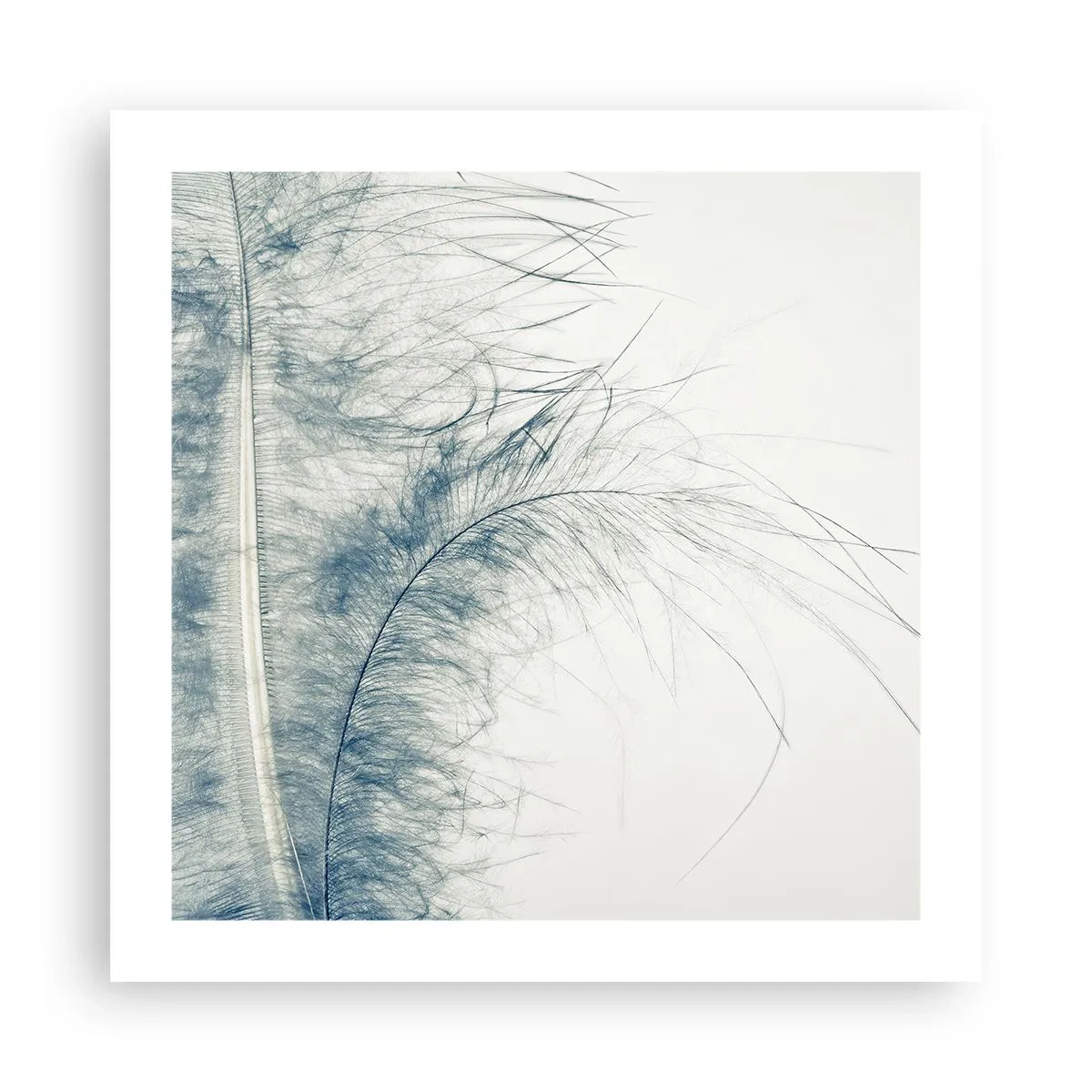 Poszter - A természet suttogása - 50x50 cm