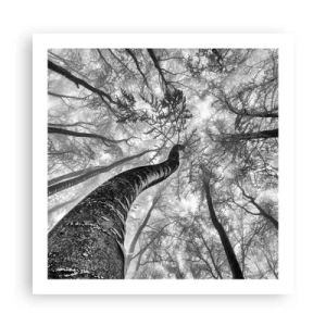 Poszter - Verseny a fény felé - 60x60 cm