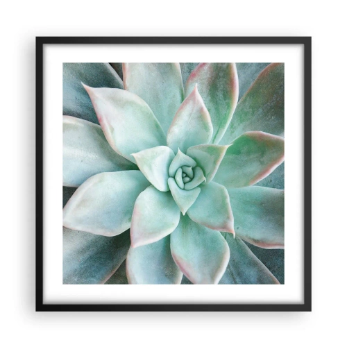 Poszter fehér keretben - A sivatag szíve - 50x50 cm