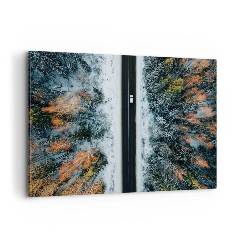 Vászonkép - Átvágni a téli erdőn - 120x80 cm