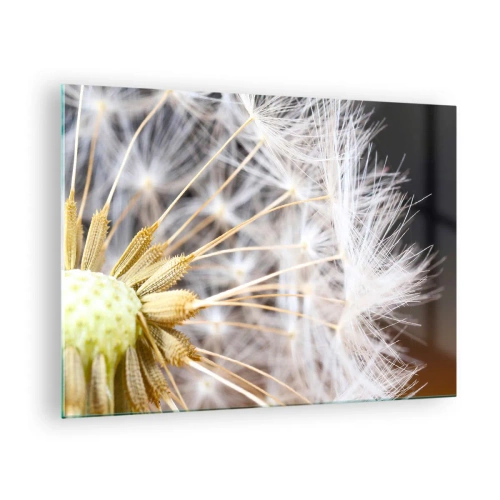 Üveg kép - Pitypang közeli képe finom magokkal - 70x50cm - Közvetlenül az indulás előtt - Modern fali dekoráció nappalihoz és hálószobához ARTTOR