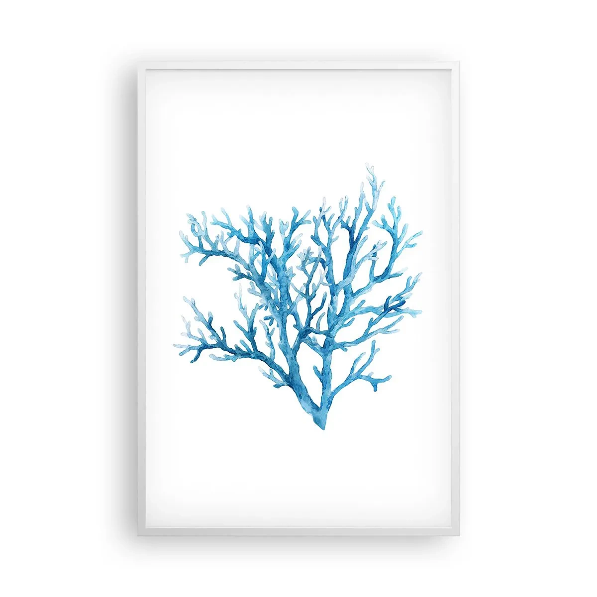 Poszter fekete keretben - Tengeri filigrán - 61x91 cm