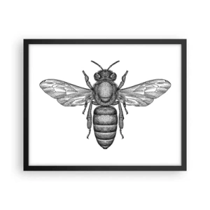 Poszter fehér keretben - Rovar portré - 50x40 cm