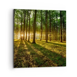 Vászonkép - Minden tavasz fotója - 70x70 cm