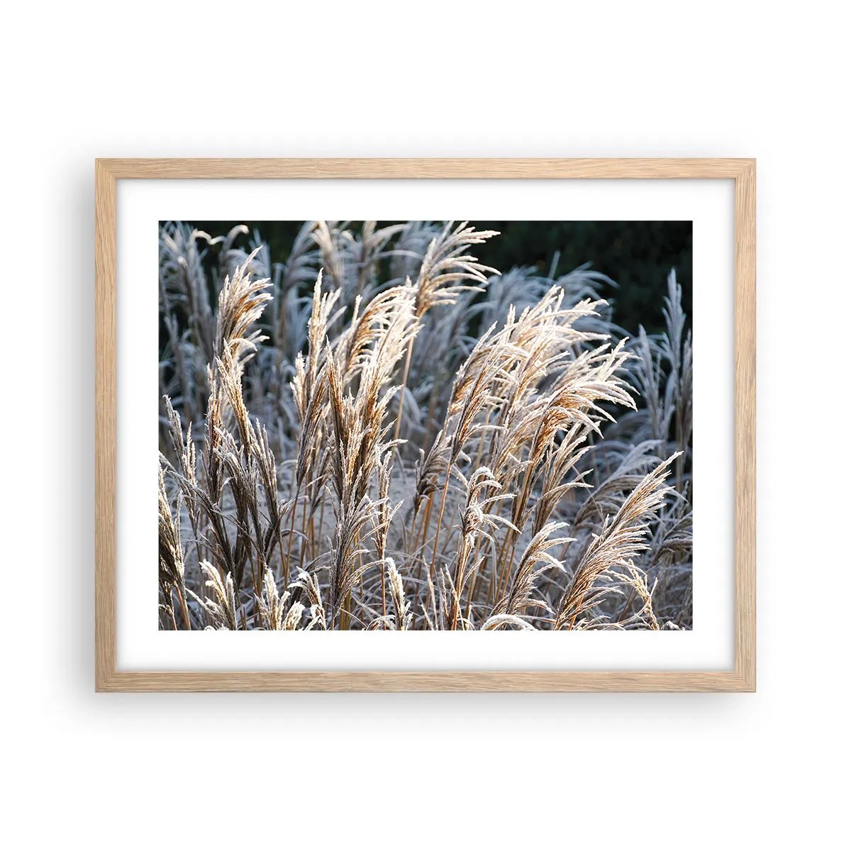 Poszter világos tölgy keretben - Zúzmarába öltözött - 50x40 cm