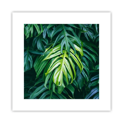 Poszter - Merüljön el a frissességben - 30x30 cm